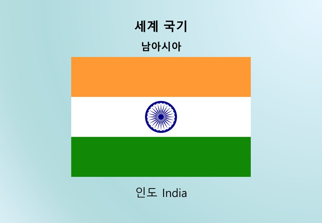 인도 India 국기