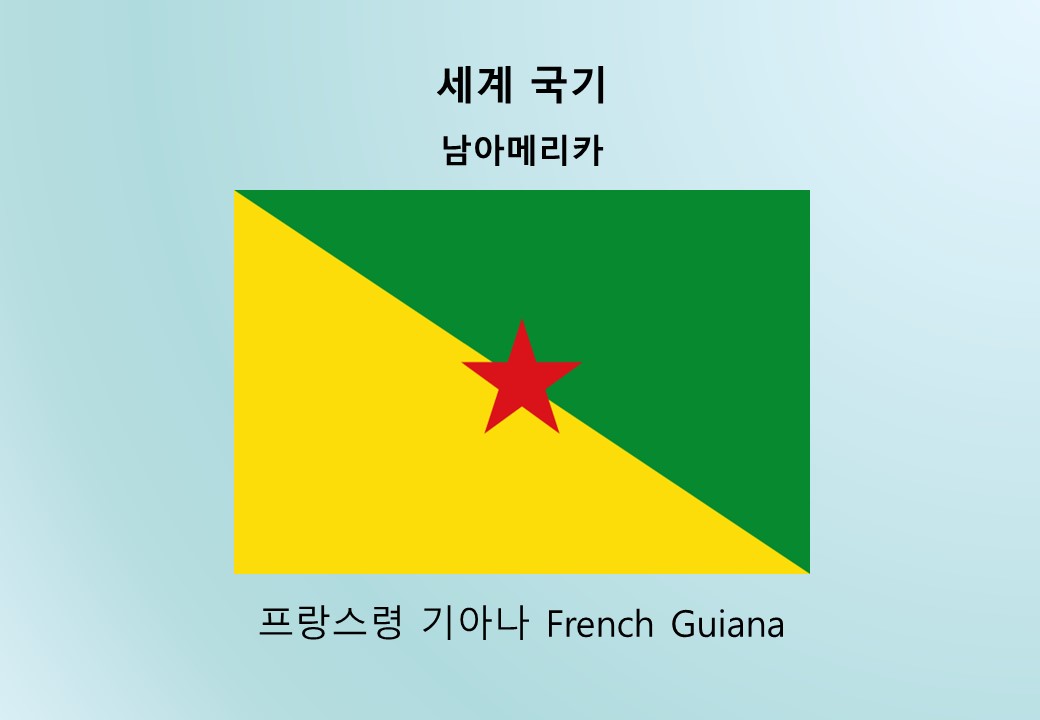 세계국기_남아메리카_프랑스령 기아나 French Guiana