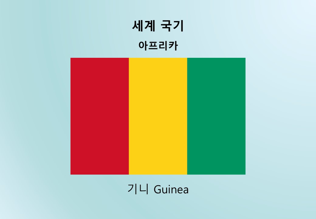 세계국기_아프리카_기니 Guinea